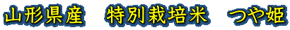 山形県産　特別栽培米　つや姫