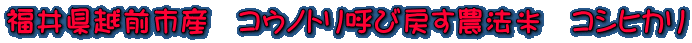 䌧zOsY@REmgĂі߂_@ā@RVqJ