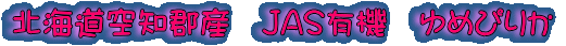 kCmSY@JASL@@߂҂肩