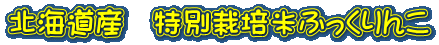 kCY@ʍ͔|Ăӂ 
