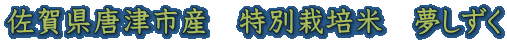 ꌧÎsY@ʍ͔|ā@