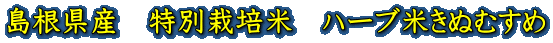 Y@ʍ͔|ā@n[uĂʂނ