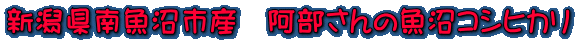 V싛sY@̋RVqJ