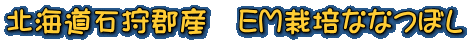 kCΎSY@EM͔|ȂȂڂ