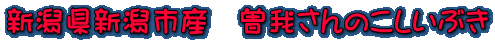 VVsY@]䂳̂Ԃ