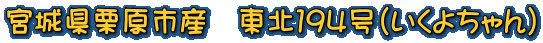 {錧IsY@kPXSi悿j