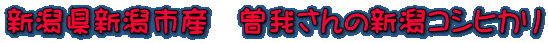 VVsY@]䂳̐VRVqJ