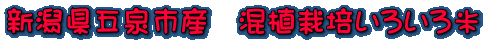 VܐsY@A͔|낢