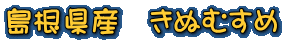 Y@ʂނ